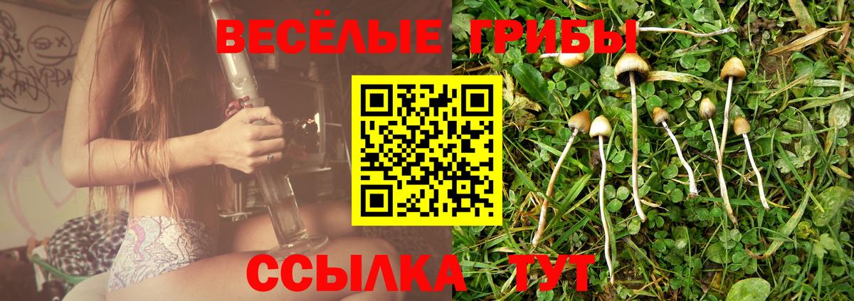 Псилоцибиновые грибы Magic Shrooms Кинель